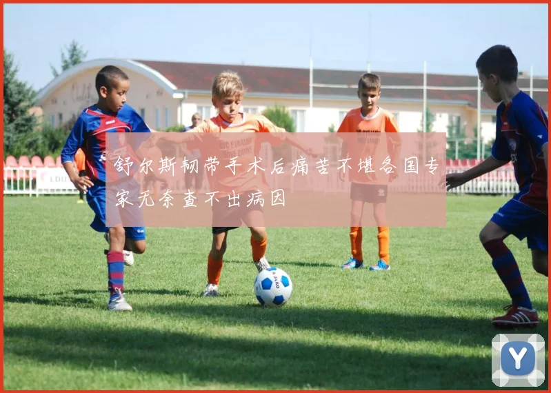 舒尔斯韧带手术后痛苦不堪各国专家无奈查不出病因
