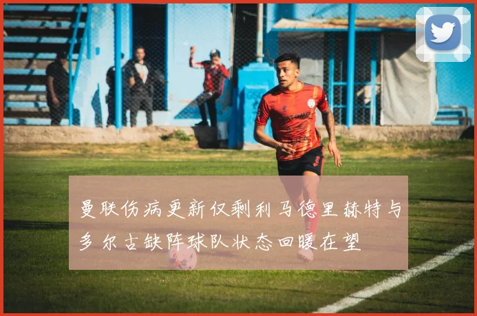 曼联伤病更新仅剩利马德里赫特与多尔古缺阵球队状态回暖在望